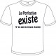 Tee-shirt Blanc B&C "La Perfection Existe" Homme Exact 190