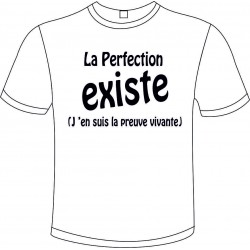 Tee-shirt Blanc B&C "La Perfection Existe" Homme Exact 190