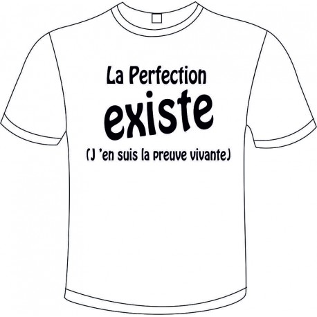 Tee-shirt Blanc B&C "La Perfection Existe" Homme Exact 190